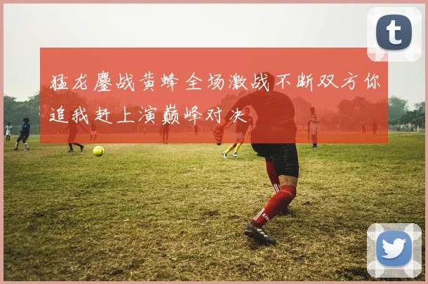猛龙鏖战黄蜂全场激战不断双方你追我赶上演巅峰对决