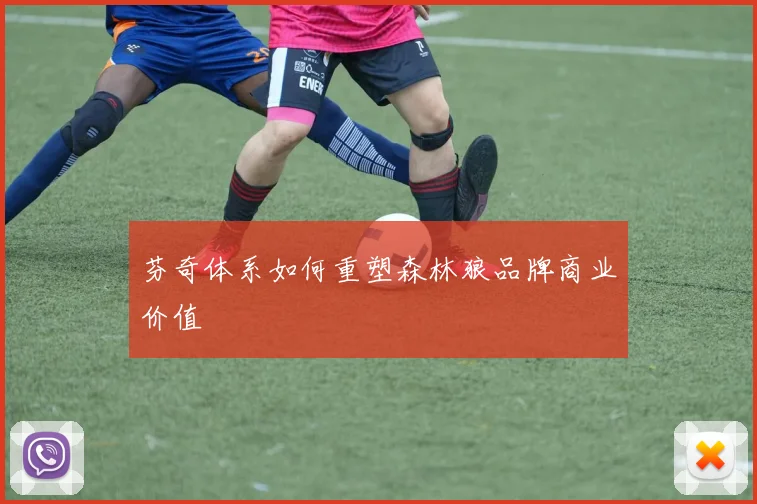 芬奇体系如何重塑森林狼品牌商业价值
