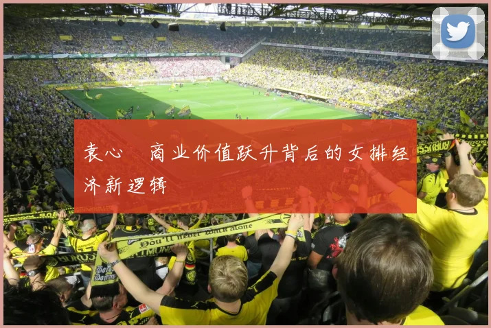 袁心玥商业价值跃升背后的女排经济新逻辑